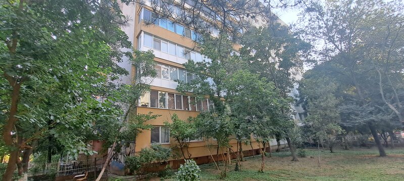 Theodor Pallady,